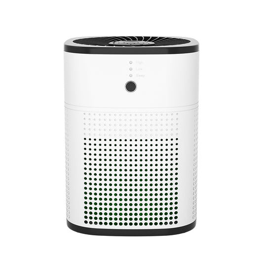 “Portable Air Purifier”