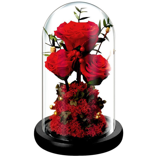 “Valentine’s Day Eternal Rose Gift Box – Dried Flowers in Glass Cover”